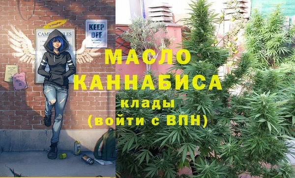 spice Богородицк