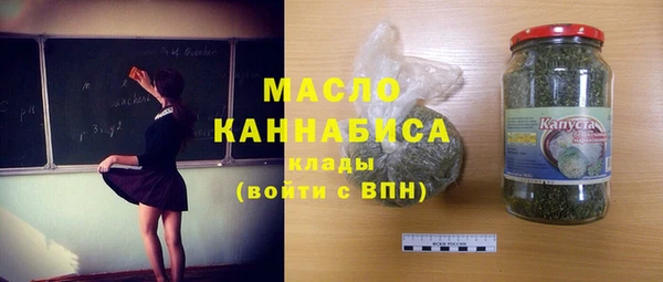spice Богородицк