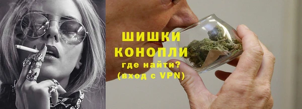 spice Богородицк
