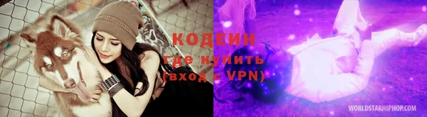 spice Богородицк
