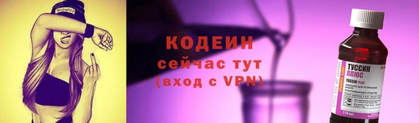 spice Богородицк
