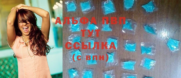 spice Богородицк