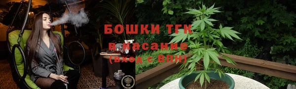 spice Богородицк