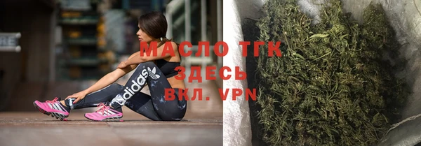 spice Богородицк
